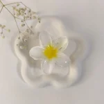 خرید کلیپس گل پلومریا