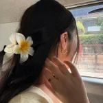 خرید کلیپس گل پلومریا